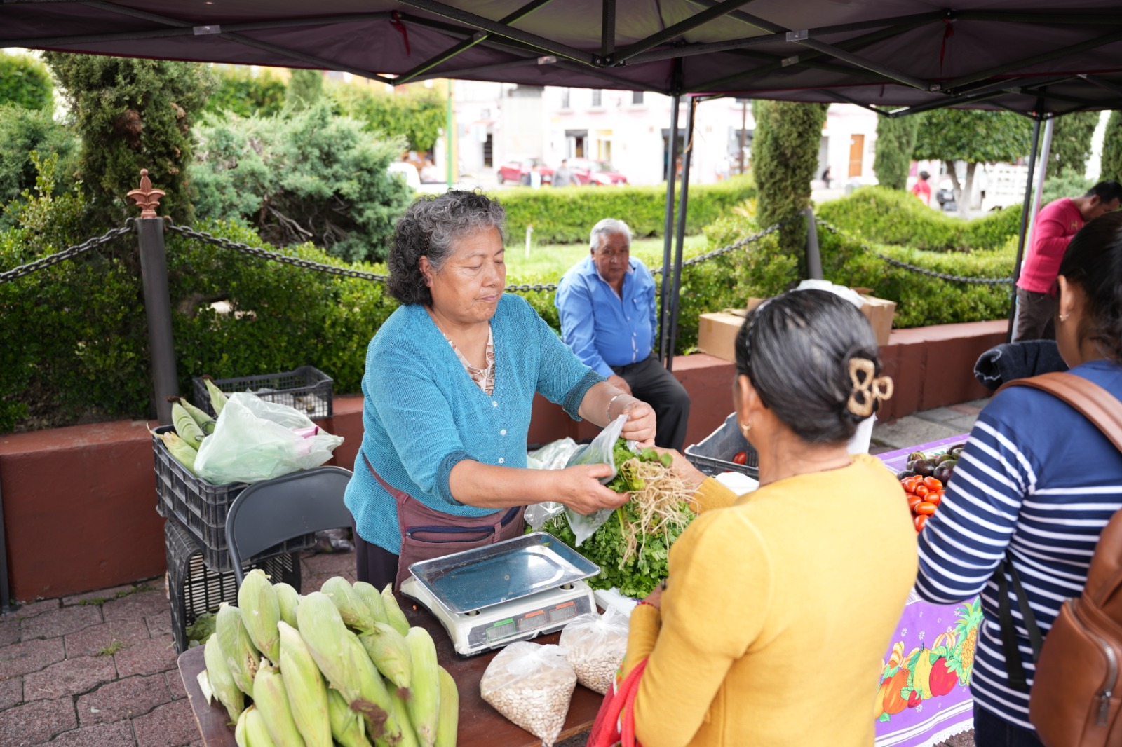 Artesanos reconocen impulso del alcalde Alfonso Sánchez para fortalecer su economía a través del mercado social